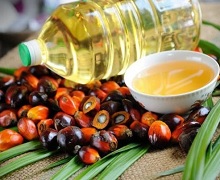 Україна імпортувала пальмової олії на $158 млн